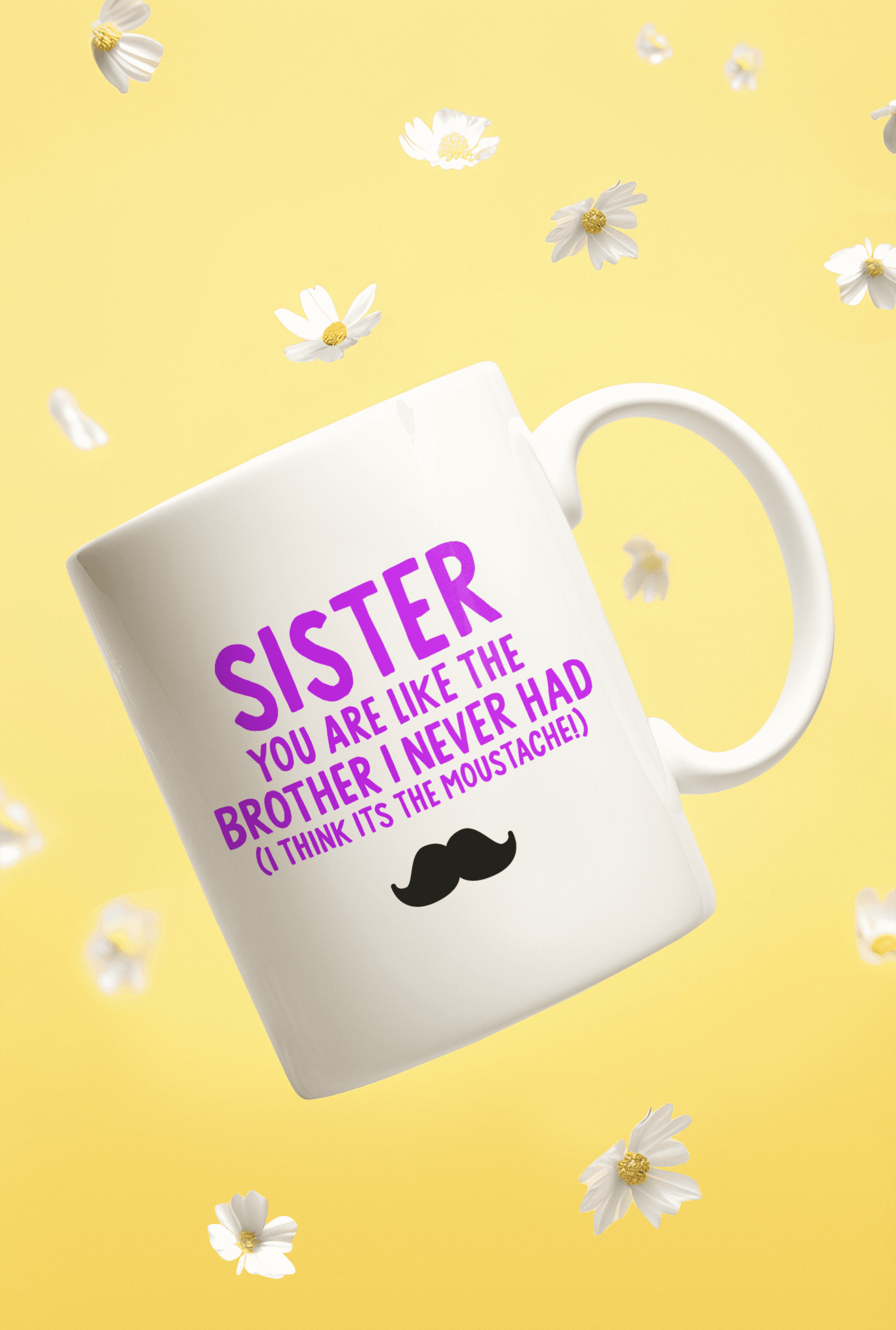 Sister Like a Brother Mug - Funny Gift UK